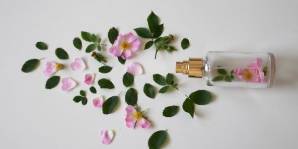 czym się różni woda toaletowa od perfum